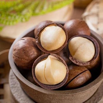 Fresh Whole Macadamia Nuts Clean & Natural Economical Wholesale Bulk Packages for Resale - A.C.P. AGRICULTURE COMPANY LIMITED - Thailand