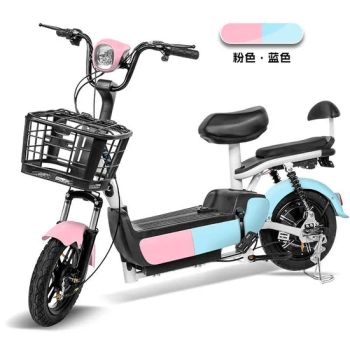 Electric Bicycle Motor 350W Rear Hub Motor for Adults Torque 30n Tyre Vacuo Wheel Size 14" Other Optional Motor - Shandong Fulong Electric Vehicle Co., Ltd. - China