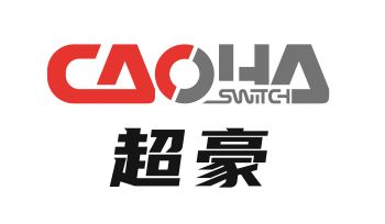 Product - Ruian Chaohao Automotive Electrical Appliance Co., Ltd. - China