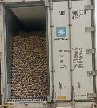potatoes – product photo, Potatoes products found from trusted suppliers, wholesalers, manufacturers & exporters Listing