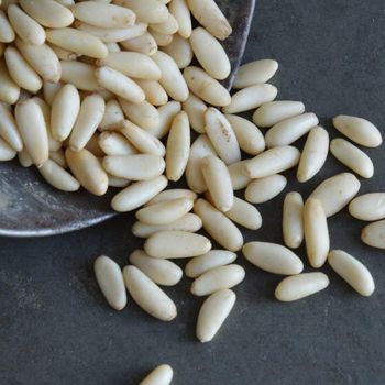 Discount Pine Nuts Premium Quality Natural Shelled Pine Nut Kernels Healthy Snack for Home and Food Processing - agroturaspzoo - Poland