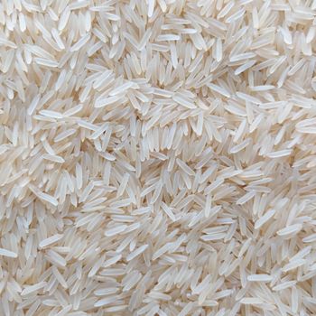 1121 White Sella – product photo, 1121 White Sella products found from trusted suppliers, wholesalers, manufacturers & exporters Listing