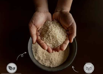 Sona Masoori Rice Grade A Purity 95% Min Foreign Matter Nil Shelf Life 12 Months Broken Grains Max 5% Moisture Content Max 14% - Agrobee Global Trading India PVT LTD - India