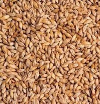 Grains Wheat Corn Oilseeds Barley Sorghum - ROM BAU GMBH - Germany