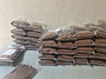 Vanilla Powder - Java Vanilla Beans - Indonesia