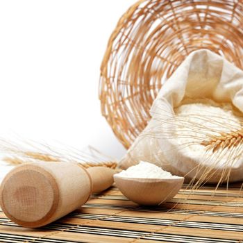 Fresh Milled Wheat Flour For Baking Ingredient Supply And Export Markets Delivering Clean Texture And Grain Purity - TOSOH INTERNATIONAL - South Africa