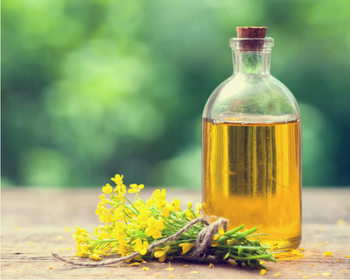 Rape Seed Oil refin - Cosmoport LLC - Russian Federation