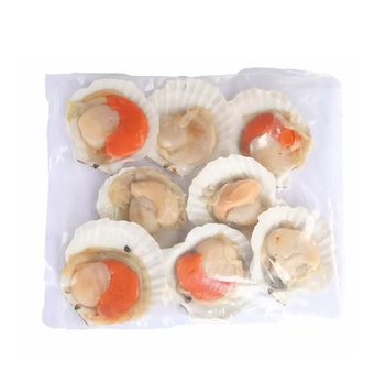 Best Price Frozen Scallop Meat | Frozen Scallop Half Shells Bulk Stock Available With Customized Packing  -  CALIPSO POLSKA SP Z OO  - Poland