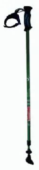 Ski Poles (LY-101) Trademark BEST Model NO. LY-101 Production Capacity: 300,000pcs/year - Ninghai Leye Tourist Goods Co., Ltd. - China