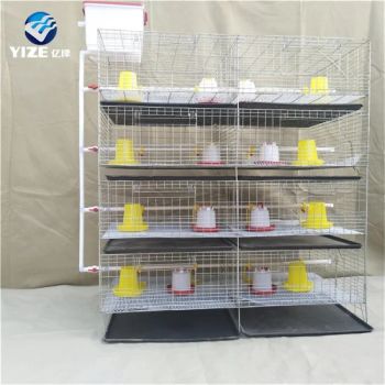 Automatic Layer Bird Shed H Type Galvanized Egg Laying Hens Chicken Cage Poultry Shed - Anping County Yize Metal Products Co., Ltd. - China