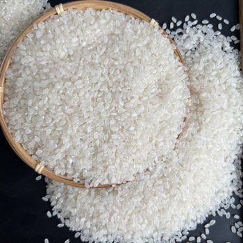 Short Grain Japonica Rice Soft Texture - VILACONIC - Vietnam