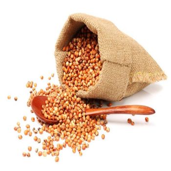 Sorghum Grain With 12% Maximum Moisture For Processing Operations Grain Storage Management And Feed Preparation - TOSOH INTERNATIONAL - South Africa