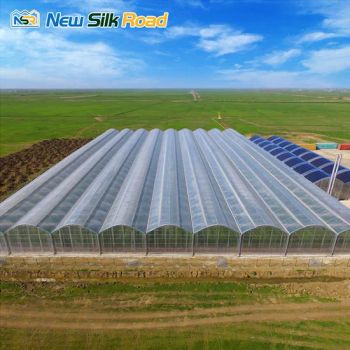 Versatile Plastic Film Greenhouses for Sustainable Agriculture Solutions - Shandong New Silk Road Greenhouse Engineering Co., Ltd. - China