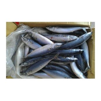 BQF IQF Whole Frozen pacific mackerel / horse mackerel fish For Exports -  CALIPSO POLSKA SP Z OO  - Poland