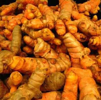 Agriculture, Food & Beverage – product photo, Food Beverage products found from trusted suppliers, wholesalers, manufacturers & exporters Listing