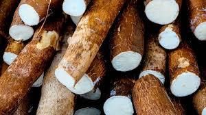 Cassava/Tapioca from Marmina Trading Cassava/Tapioca – product photo, Tapioca products found from trusted suppliers, wholesalers, manufacturers & exporters Listing