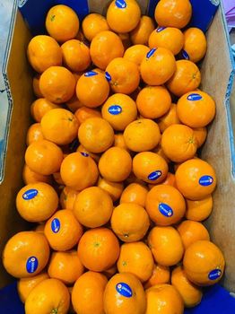 High Quality Organic Sweet Fresh Citrus Mandarin Navel Orange France 10kg Available Wholesale Best Price Fast Delivery - TRADECENTRIC LLC - United States