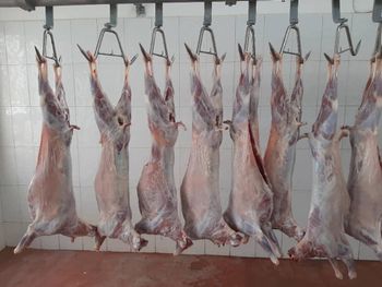 Mutton beef Protein 18–21% Moisture 65–70% Meat Type Mutton Fat 2–8% (by Cut) Ash (minerals) 1–2% Energy 130–180 Kcal Cholesterol 70–80 - BF GLOBAL TRADING (PTY) LTD - South Africa