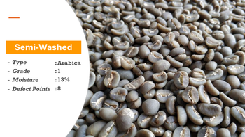 Sumatra Gayo Arabica Green Coffee Beans - Semi-Washed (Wet Hulled), Premium