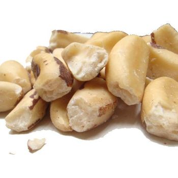 Shelled Brazil nut kernels - Chipped - Natural Shelled Brazilian but kernels Bertholletia excelsa - REALIZAR ALLIANCE COMERCIO IMPORTACAO E EXPORTACAO LTDA - Brazil