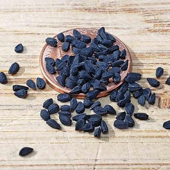 Premium Export Nigella Seed With Excellent Flavor  Nigella Seed Packed Hygienically For International Buyers - THE GREEN INTERNATIONAL LIMITED - Tanzania