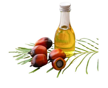 Reliable Edible Oil Supplier Offering Refined Palm Oil With Processed Quality For Wholesale Importers - malter group - Tanzania