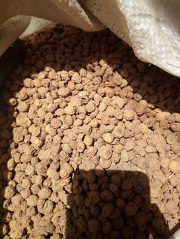 Tiger Nuts Texture Chewy Gmo Status Non-gmo Allergen Status Gluten-free Drying Process Sun Dried (Big Size) Shelf Life Excellent Shelf Stability - RootSpring Agro Export Ltd - Nigeria
