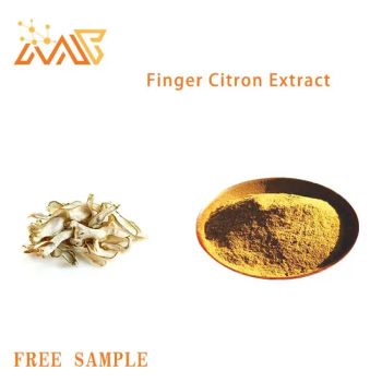 Chinese Herbal Medicine Polyphenols Finger Citron Extract Bergamot Extract Finger Citron P E  - Nanjing Manhay Medical Technology Co., Ltd. - China