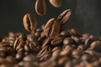 Hot Selling Premium Quality Robusta & Arabica Coffee Beans Organic Direct Wholesome Green & Roasted Blended Colored - AGRONOVA - United States