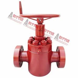6A Well Control Cameron FC/FL Style Slab Gate Valve Alloy Steel China Better - BETTER DRILLING FLUID SOLUTION LIMITED - China