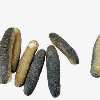 Sri Lankan Sea cucumber 100kg Natural Sun Dried Sand Fish, Disco, White Teat, Black Teat Sea cucumber - Acril Tea - Sri Lanka