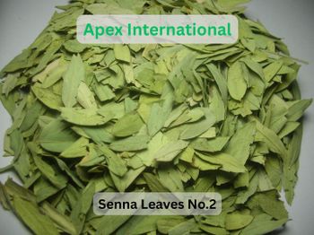 senna leaves number 2 ,Cassia Angustifolia Leaves,Dry Senna , Senna Leaf,Cassia Angustifolia Leaf,senna leaves bulk supplier from india - APEX INTERNATIONAL - India