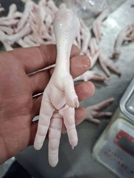 Chicken feet and paw from Monir Malakani Chicken feet and paw - Monir Malakani - Algeria