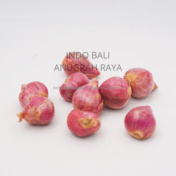New crop Spice and Herbs Kitchen spice Red Round Shallot Fresh Onions for seasoning worldwide - PT INDO BALI ANUGRAH RAYA - Indonesia