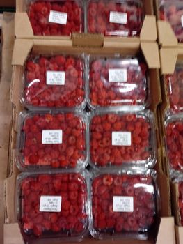 Raspberry Color Vibrant Pack Size 125g Packaging 125 gram Place of Origin UAE Texture Long-lasting Harvest Frequency Daily - Al Hikaya Food Stuff Trading Llv - United Arab Emirates