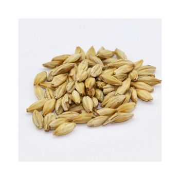 Export Grade Malted Barley Bulk Sale With Fast Delivery Service - MASI TRADING GMBH - Germany