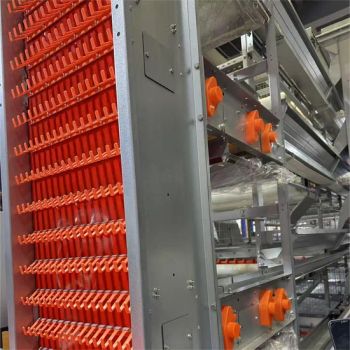 Modular Broiler Cage for Scalable Poultry Farming - Hebei Xia Ye Wire Mesh Co., Ltd. - China