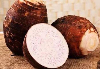 Premium Fresh Egyptian Taro Root - Grade A - Size 500g-1000g - Global GAP Certified - Organic Export - Organic For Import & Export And Commercial Agencies - Egypt