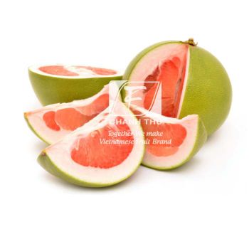 Fresh Pomelo Fruit Vietnam honey pomelo grapefruit export worldwide - Wholesale for fresh citrus fruit / - CHANH THU EXPORT AND IMPORT FRUIT COMPANY LIMITED - Vietnam