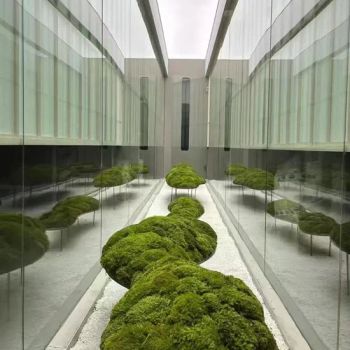Factory Direct Sales Long Using Time Moss Preserved Live Landscape Deco Indoor Dried Moss Ball Marimo Preserved Moss Decorative La - Yunnan Gary's Flowers Co., Ltd - China