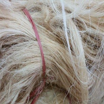 Best Price Hot Selling 100% Natural Sisal Fiber Uganda Eco-Friendly Anti-Bacteria Chemical-Resistant Spinning Concrete Use - Carla Pisselli Commercio - Brazil