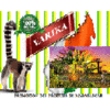 Product - PROMOTION DES PRODUITS DE MADAGASCAR - PPM - France