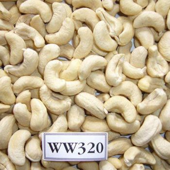Cashew Nuts - Savannah Source Global Trade Ltd - Kenya