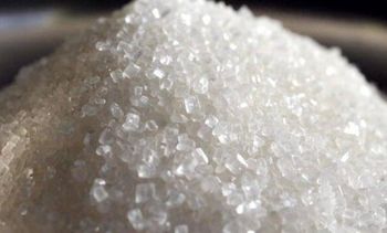 Egyptian White refined Sugar - Mino Trade - Egypt