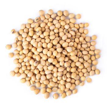 Soybeans For Sale Suitable For Soy Milk Tofu Animal Feed Oil Production And Other Food Processing - EAST LAND PROPERTIES - Tanzania