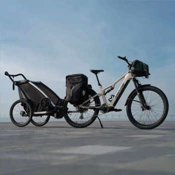 Amflow E Bike Premium Electric Bicycle for Adults with Modern Design and Efficient Performance - senesie mfg llc - United States