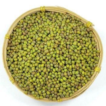 Reliable Export Specialty Premium Quality Green Mung Beans With Attractive Price - Lanzhou Longshang Rural Agriculture Co., Ltd. - China