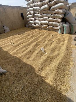 Soybean Purity 99% Max Drying Process Natural Moisture Content Less Than 10% Processing Type Machine cleaned Delivery Time To Pol 1 Week To Pol - Zaph & Zoe Export Company - Nigeria