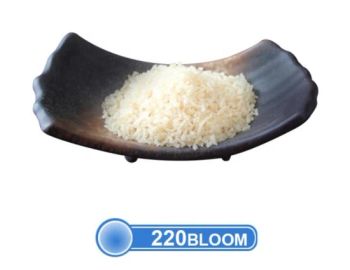 80-300 Bloom Halal Gelatine High Quality Gelatin Powder for Jelly Cake Gelatin Price - Tianjin Cangtu Import and Export Co., Ltd. - China