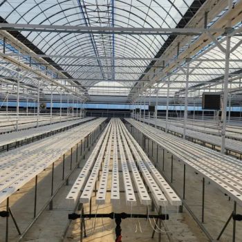 Hydroponics Greenhouse Equipment Nft Channel Hydroponics Container Growing System - G AND N FORTUNE LIMITED - China